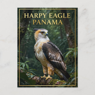 Carte Postale 🦅 Aigle Harpie Oiseau de la Forêt Tropicale de Pa