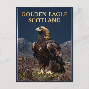 Carte Postale 🦅 Aigle royal Écosse Oiseau des Highlands