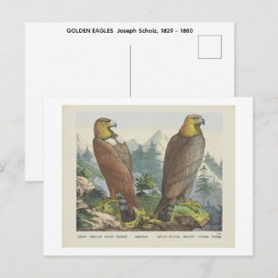 Carte Postale AIGLES ROYAUX Joseph Scholz, 1829 - 1880