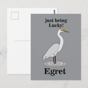 Carte Postale Aigrette Oiseau Chanceux