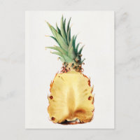 Aiguille coupée en deux Aquarelle de Fruit Peintur