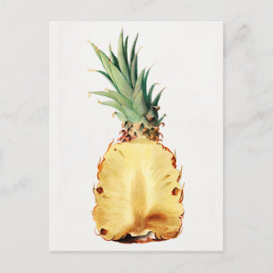 Carte Postale Aiguille coupée en deux Aquarelle de Fruit Peintur
