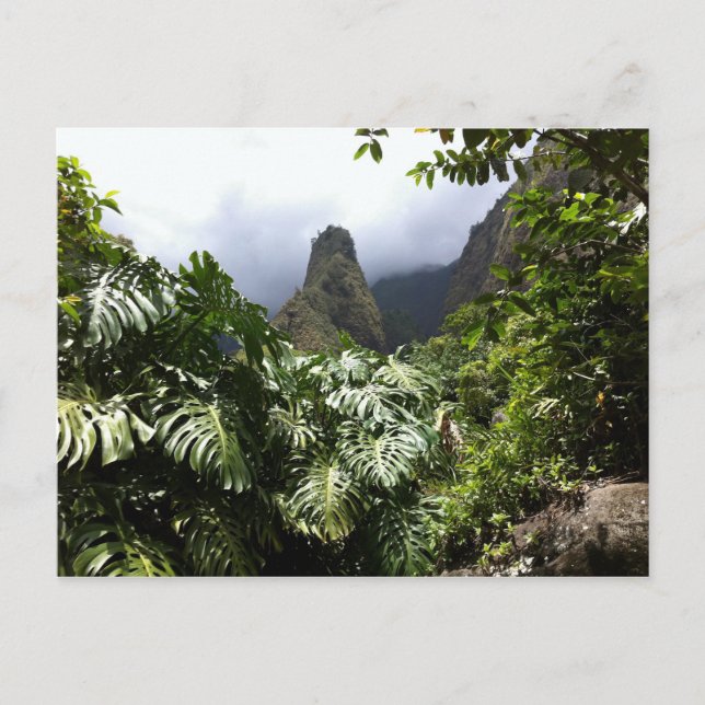 Carte Postale Aiguille d'Iao dans le Parc d'État de la Vallée d' (Devant)