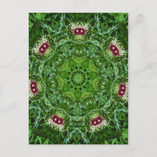 Carte Postale Aiguilles