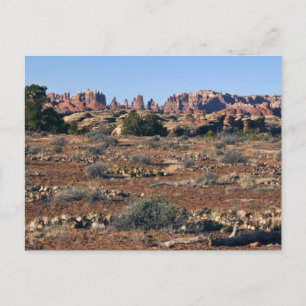 Carte Postale Aiguilles du sentier de Pothole Point à Canyonland
