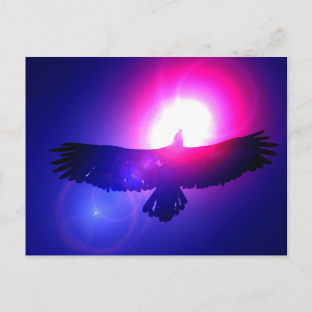 Carte Postale Ailes d'aigle - Aigle en vol (Devant)