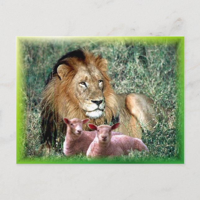 Carte Postale Aime l'âme - (Devant)