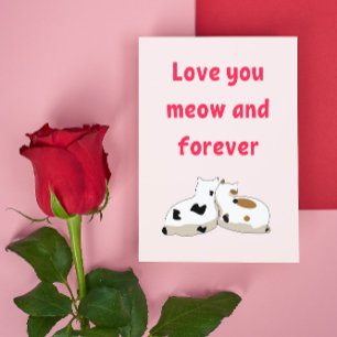 Carte Postale Aimez-vous miow et pour toujours   Cats Valentines