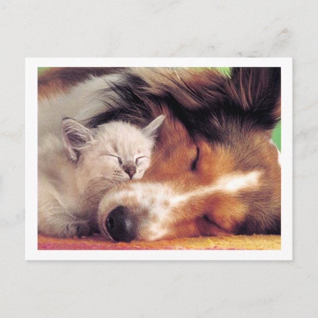 Carte Postale Ain't Love Grand (Devant)