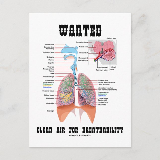 Carte Postale Air Recherché Clair Pour Respirabilité (Respiratoi (Devant)