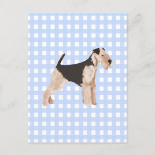 Carte Postale Airedale Terrier En vichy bleu