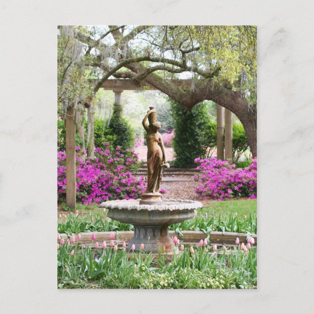 Carte Postale Airlie Gardens, Wilmington, NC (Devant)