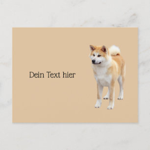 Carte Postale Akita  