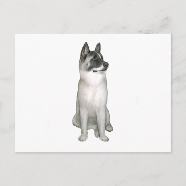 Carte Postale Akita (A) - (masque noir) (Devant)