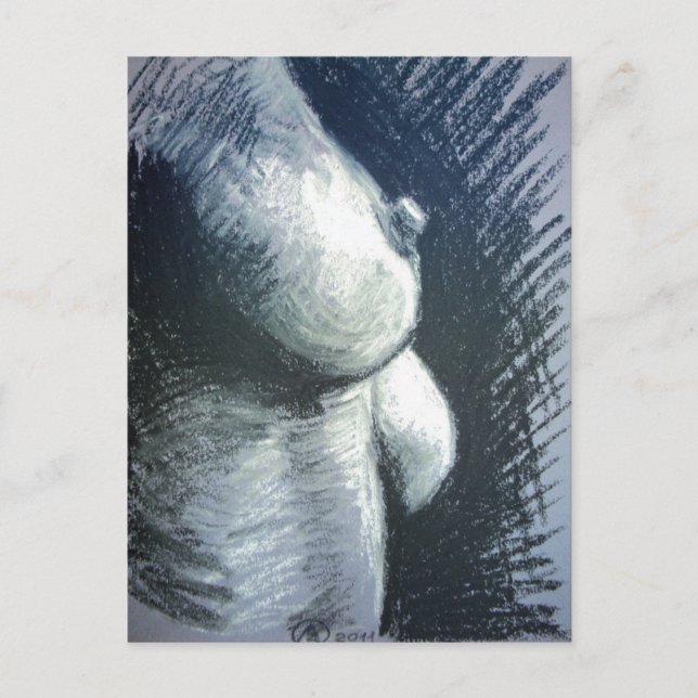 Carte Postale Akt, Frau (Devant)