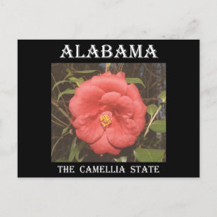 Carte Postale Alabama Camellia (Rouge)
