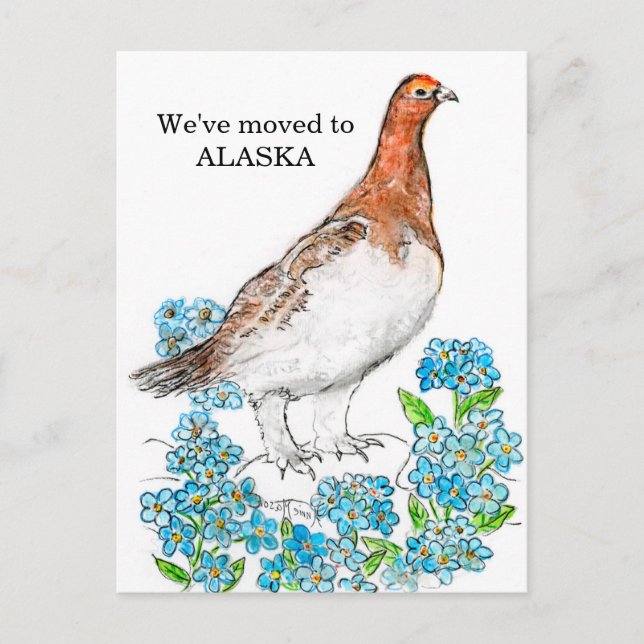 Carte Postale Alaska (Devant)