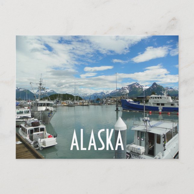 CARTE POSTALE ALASKA (Devant)