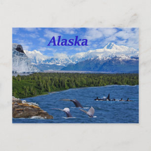 Carte Postale Alaska