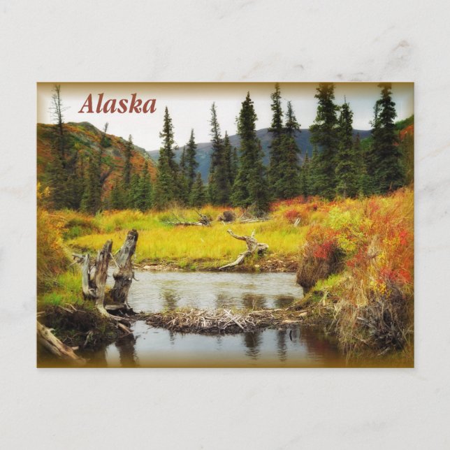 Carte Postale Alaska (Devant)