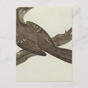 Carte Postale Alaska 2