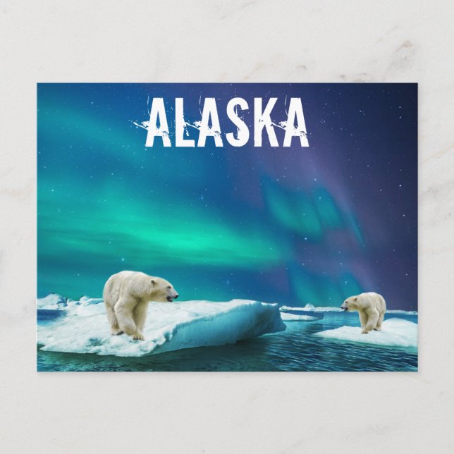 Carte postale Alaska avec ours polaires Aurora Bor (Devant)
