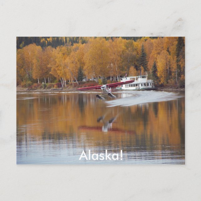 Carte Postale Alaska, Floatplane, Riverboat, Birch Tree en autom (Devant)