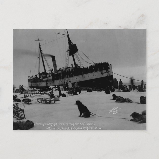 Carte Postale Alaska vintage (Devant)