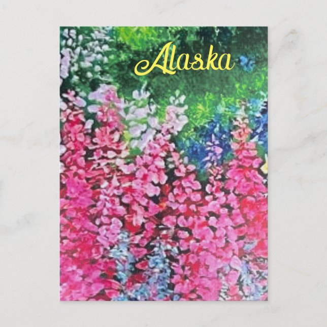 Carte postale Alaskan Fireweed (Devant)