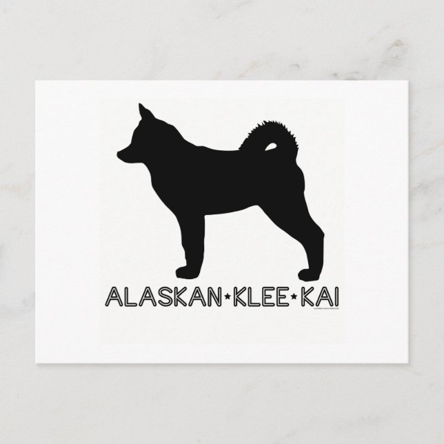 Carte postale Alaskan Klee Kai (Devant)