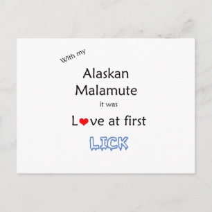 Carte Postale Alaskan Malamute Lick Design