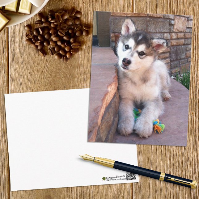 Carte Postale Alaskan Malamute Puppy Head Tilt Photographie (Créateur téléchargé)