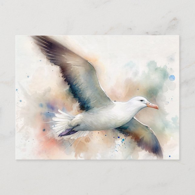 Carte postale Albatross Watercolor (Devant)