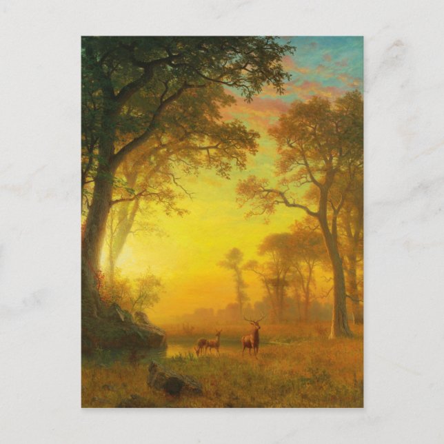 Carte Postale Albert Bierstadt Lumière dans la forêt (Devant)