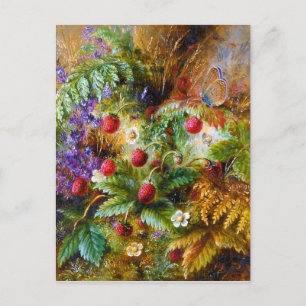 Carte Postale Albert Dürer Lucas : Fraises sauvages et papillon
