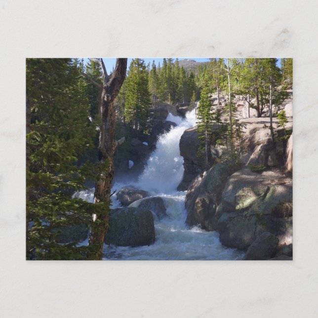Carte Postale Alberta Falls I (Devant)