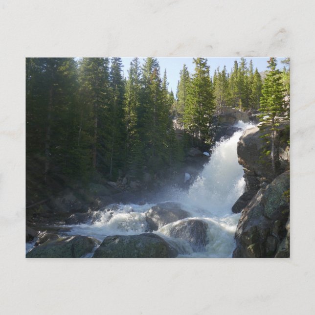 Carte Postale Alberta Falls II (Devant)