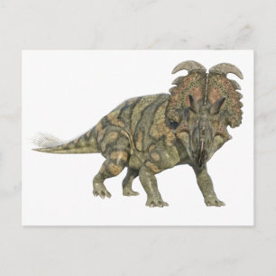 Carte Postale Albertaceratops Dinosaur Regardant vers l'avant