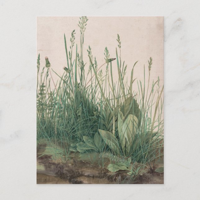 Carte Postale Albrecht Durer (Devant)