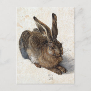 Carte Postale Albrecht Dürer, Jeune Lièvre, 1502
