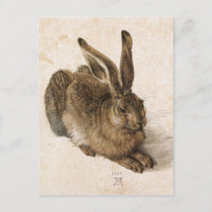 Carte Postale Albrecht Dürer - Junger Hase (Young Hare), 1502