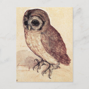Carte Postale Albrecht Durer The Little Owl Postcard