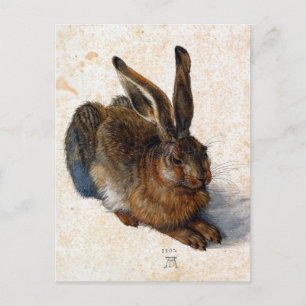 Carte Postale Albrecht Dürer Young Hare