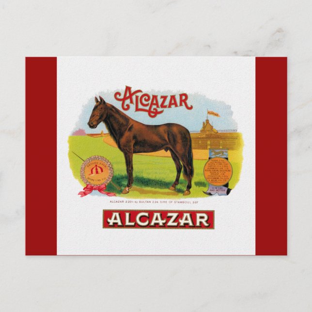 Carte Postale Alcazar le cheval de course (Devant)
