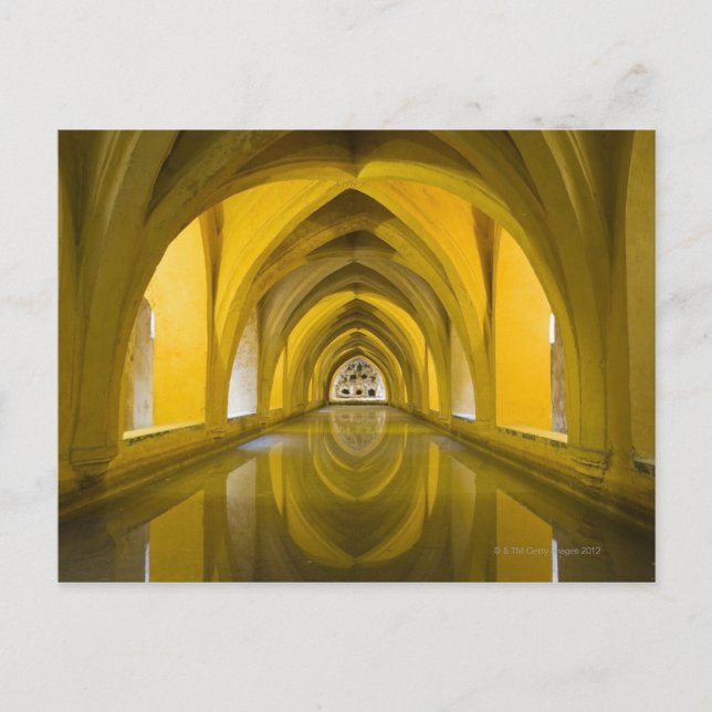 Carte Postale AlcÌÁzar province de Séville, Séville, Espagne (Devant)