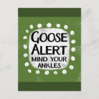 Carte postale Alerte Goose