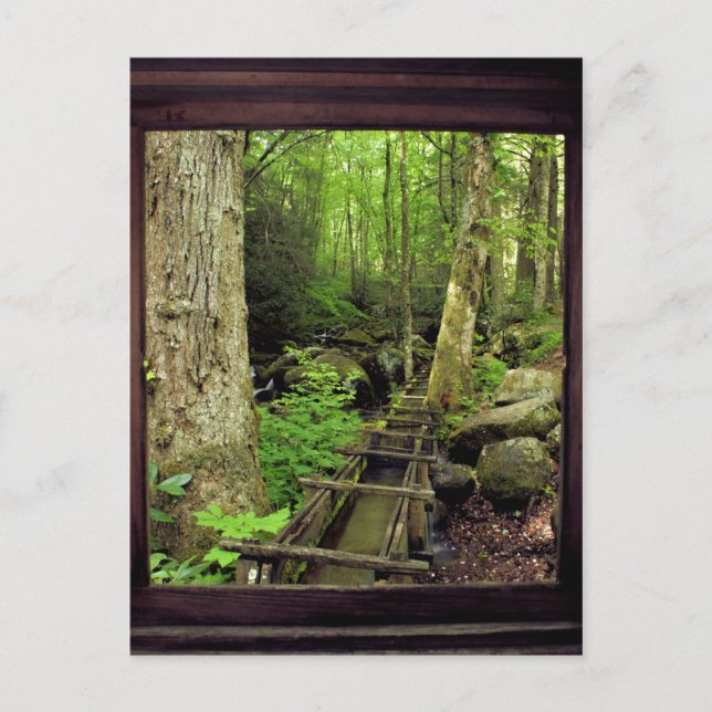 Carte Postale Alfred Reagan's Mill (Devant)