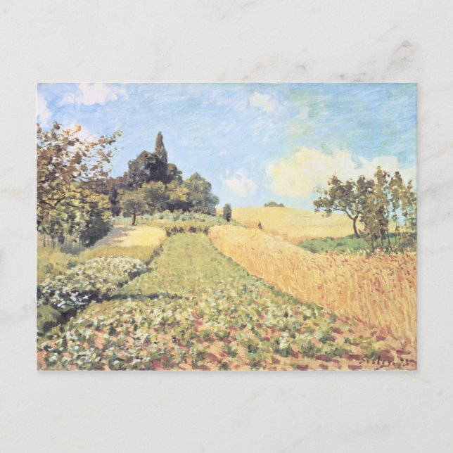 Carte Postale Alfred Sisley | Champ de blé (Devant)