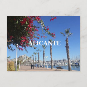 Carte Postale Alicante