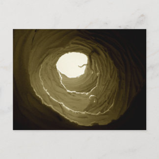 Carte Postale Alice à Wonderland